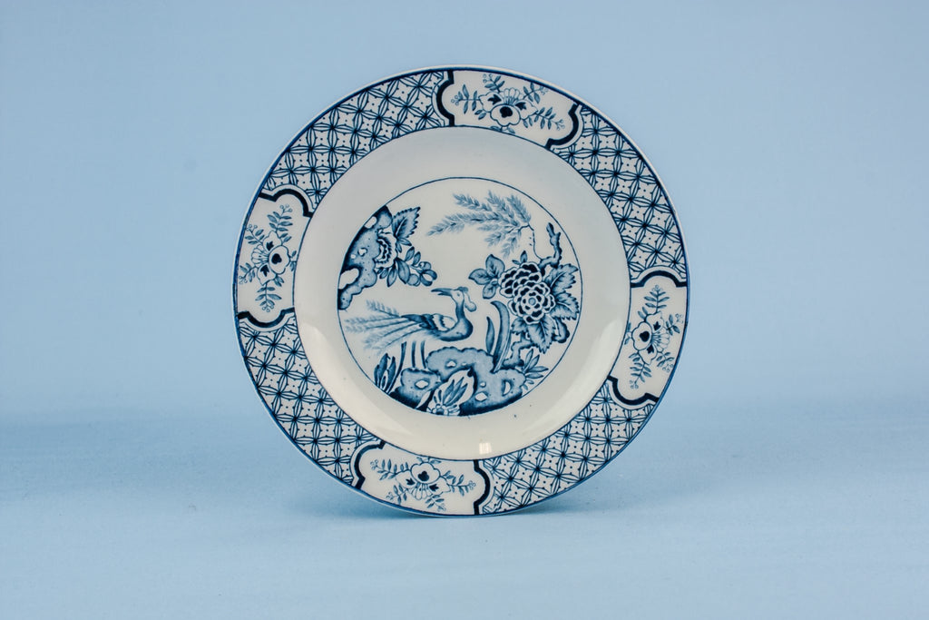 2 blue and white plates