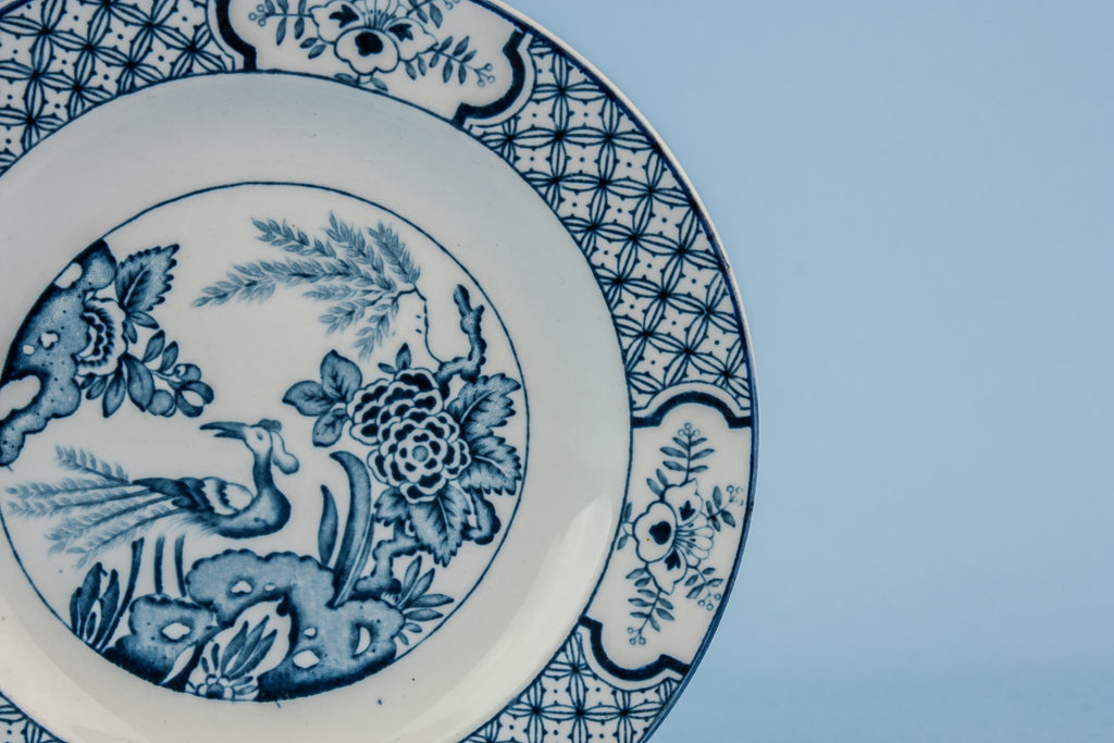 2 blue and white plates