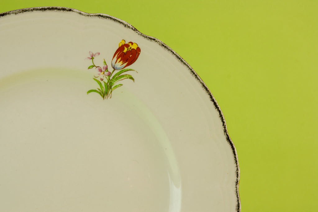 6 Alfred Meakin dinner plates
