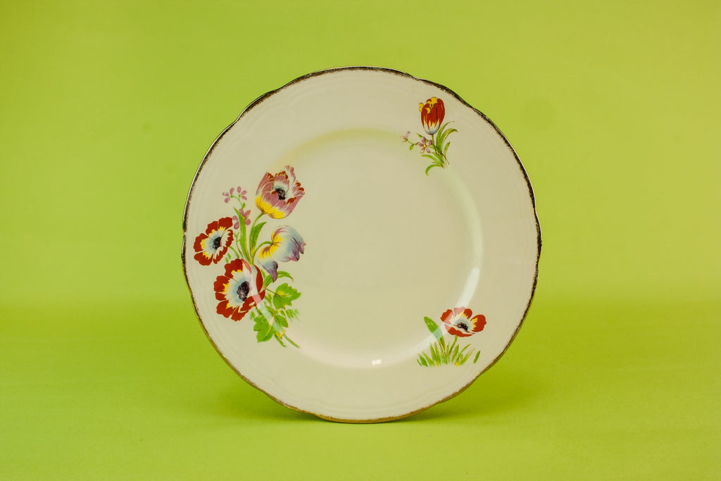 6 Alfred Meakin pottery plates