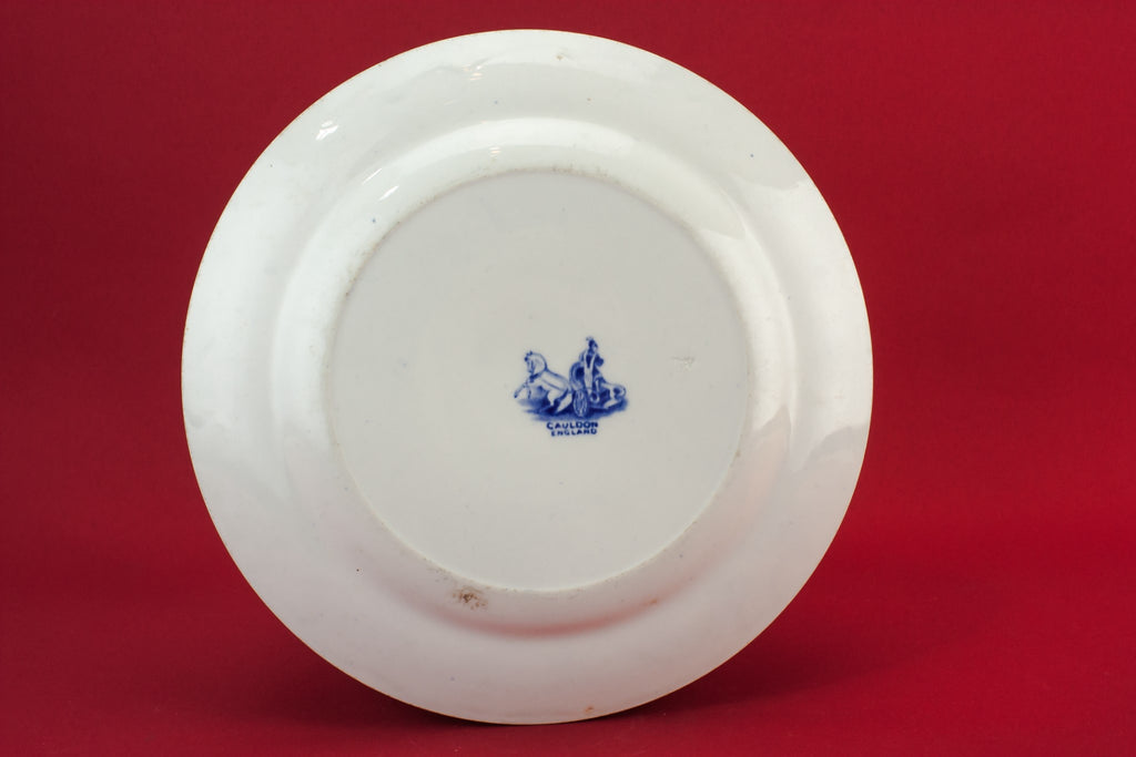 Blue and white serving dish
