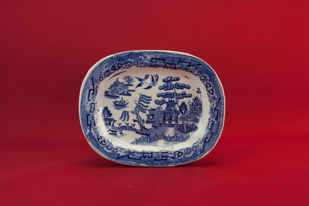 Blue and white platter