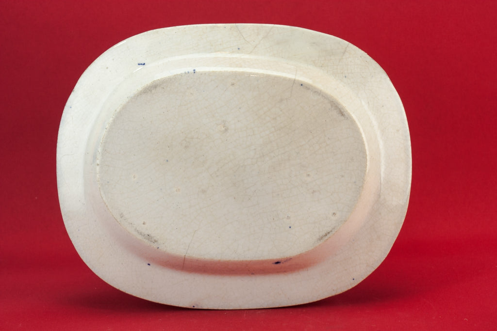 Blue and white platter