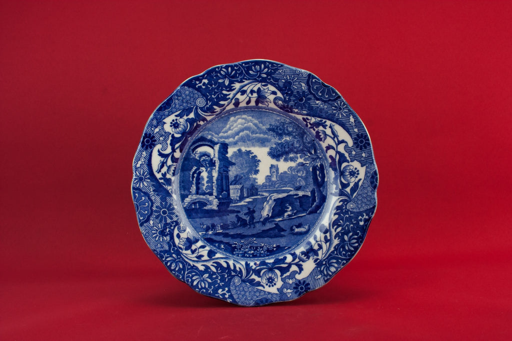 Blue and white plate