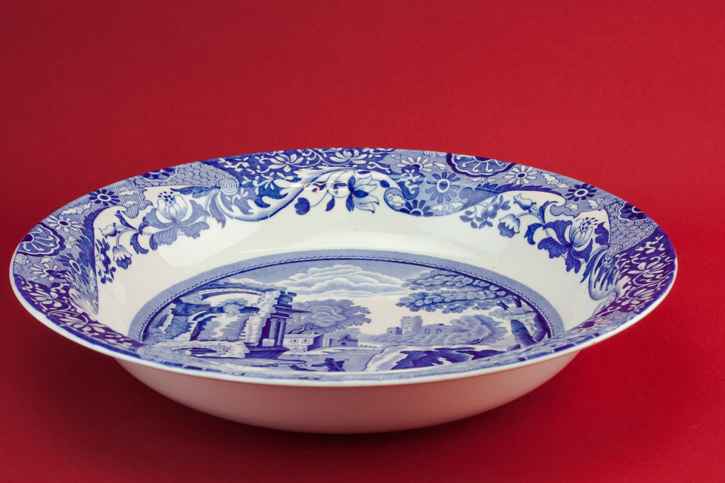 Blue and white serving bowl