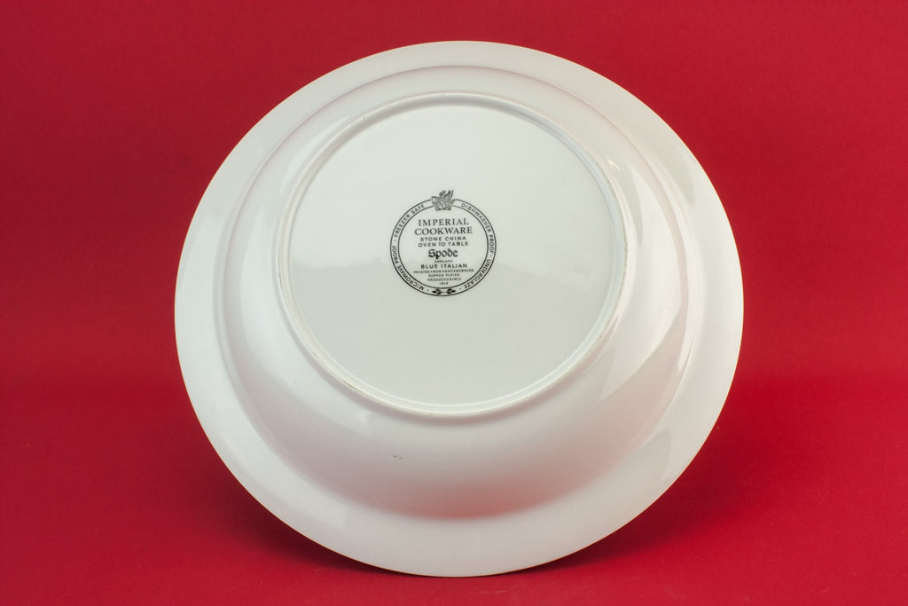 Blue and white serving bowl