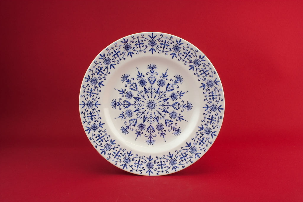 2 blue and white plates