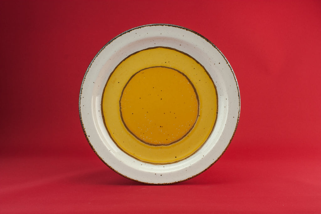 6 pottery dinner plates