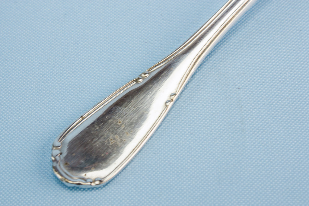 6 traditional dessert spoons