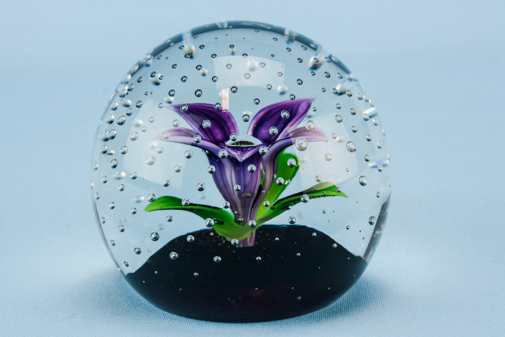 Caithness glass paperweight