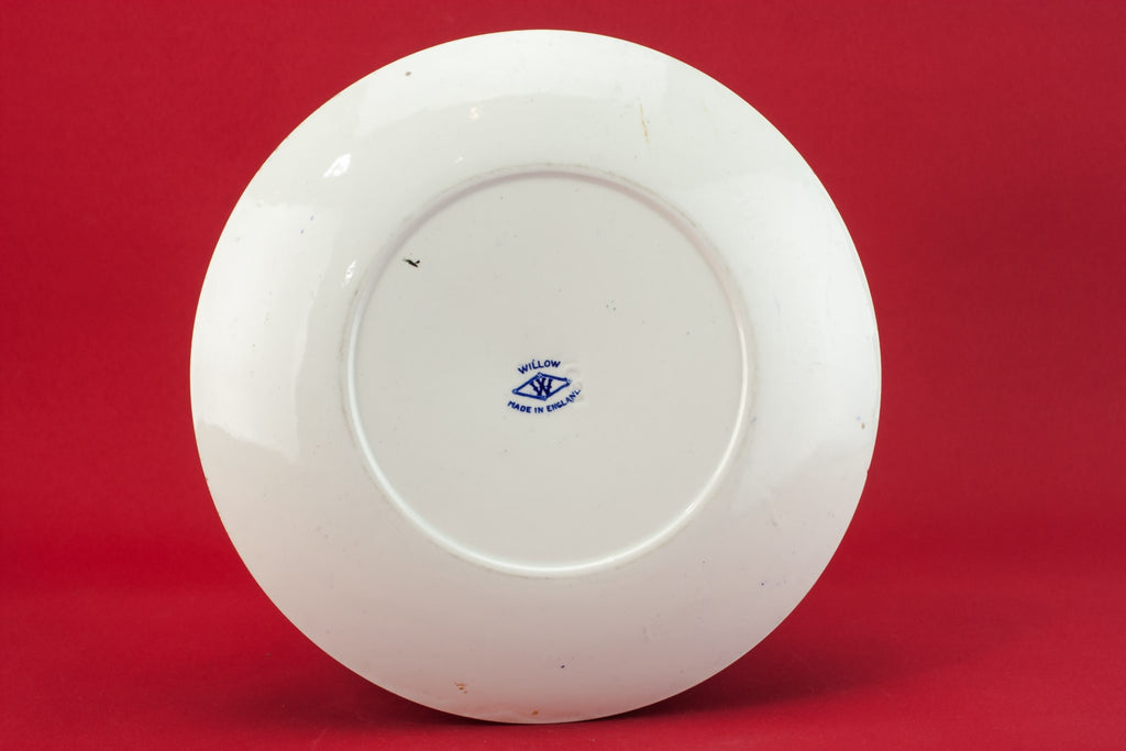 Blue and white plate