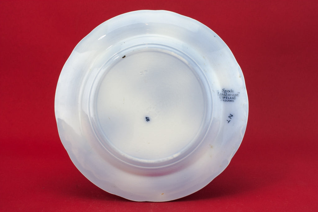 Victorian pottery plate