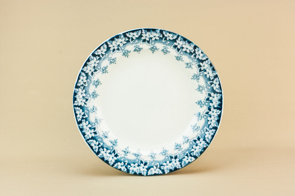 5 blue and white dinner plates