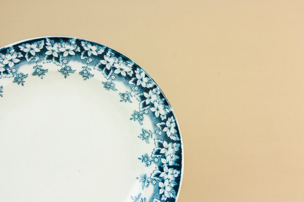 5 blue and white dinner plates