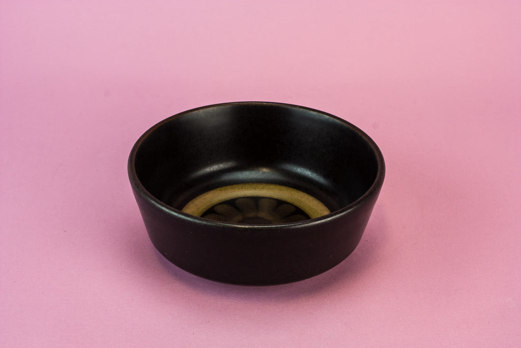 2 Denby pottery dessert bowls