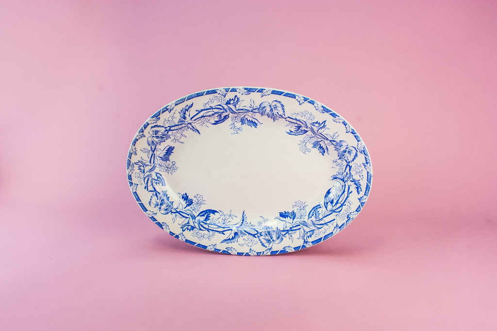 Blue and white platter