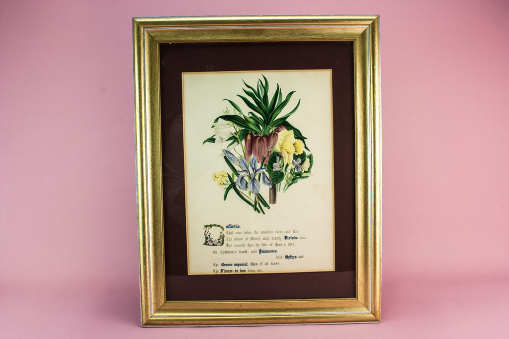 Daffodils coloured print