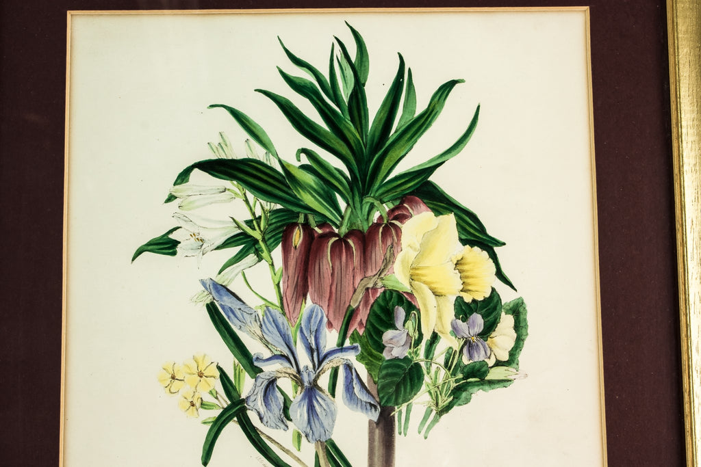 Daffodils coloured print