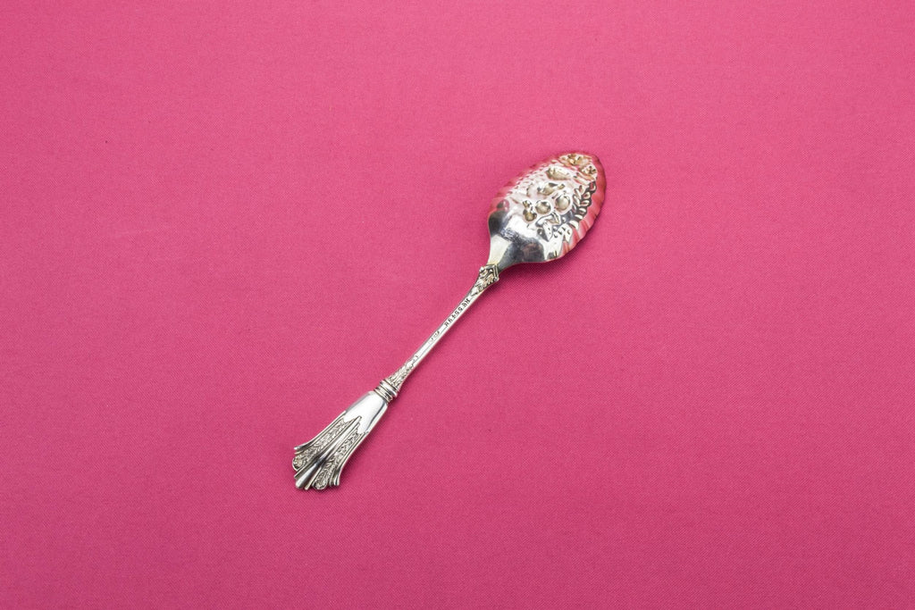 Small serving spoon