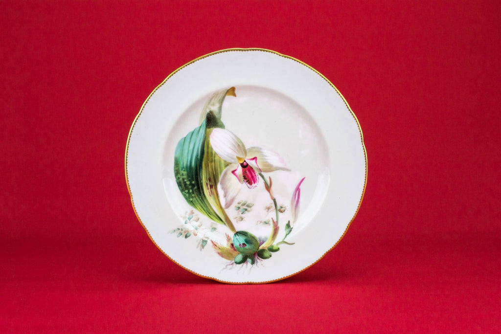Painted orchid dinner plate
