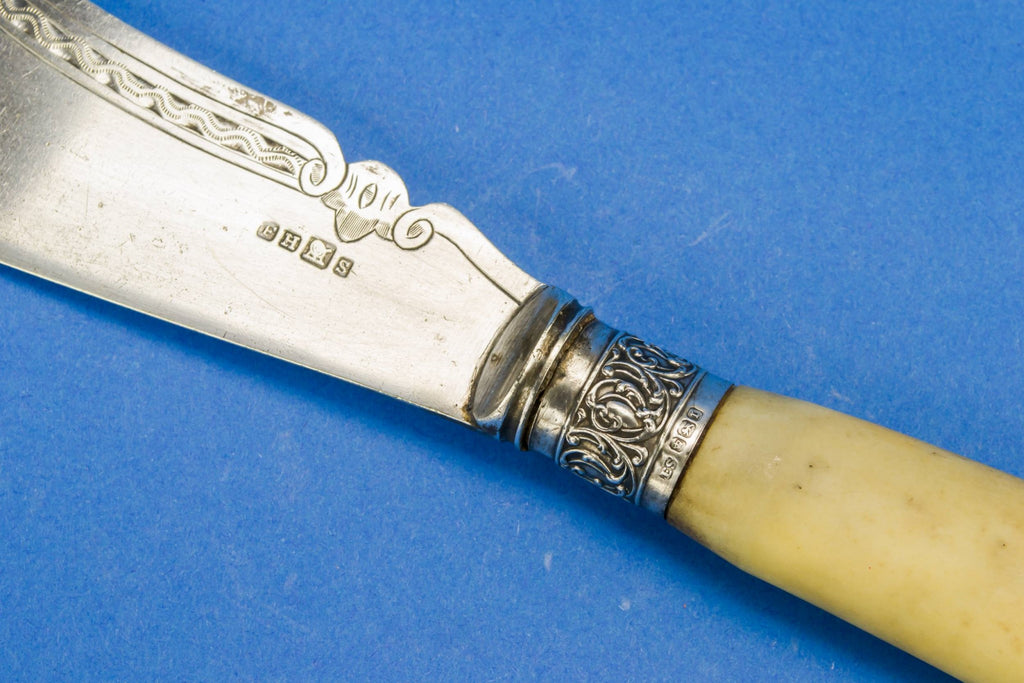 Silver carving knife