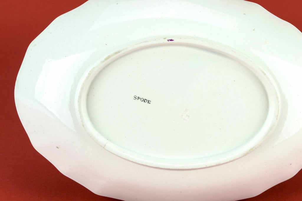 Oval serving bowl by Spode