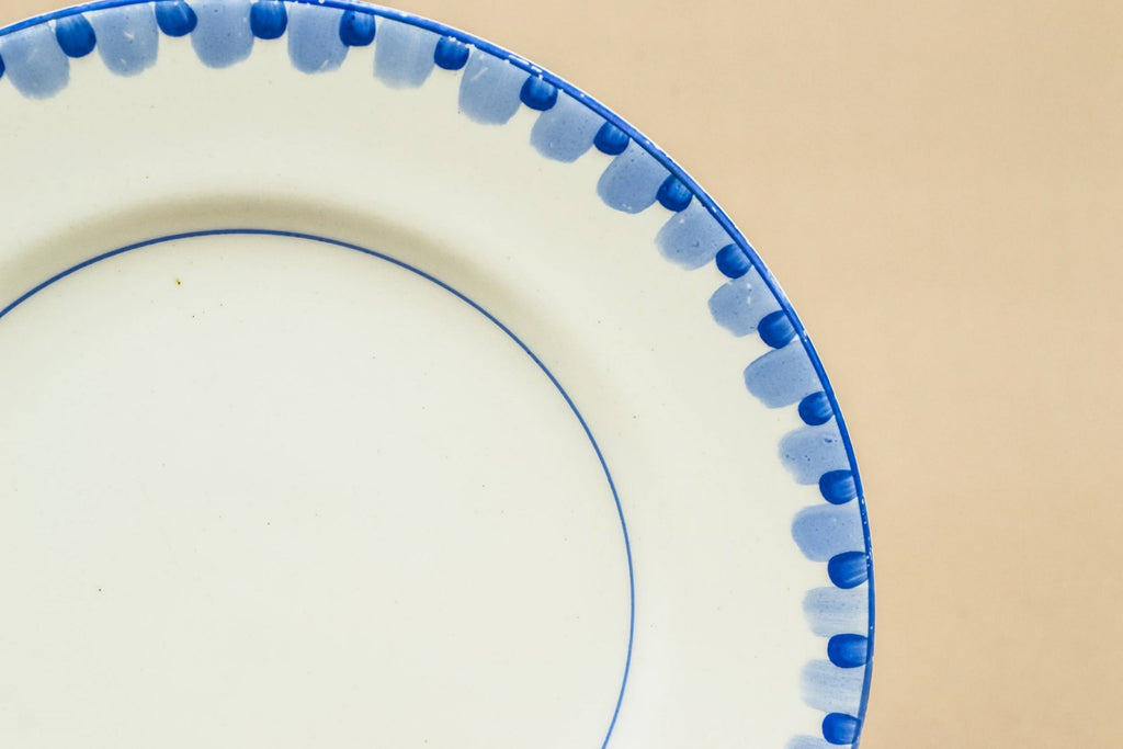 10 blue and white plates