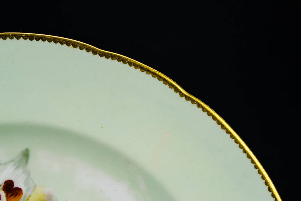 Rare orchid dinner plate