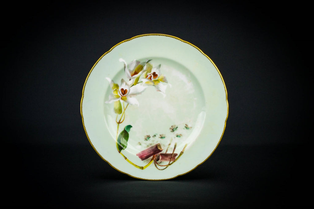 Rare orchid dinner plate