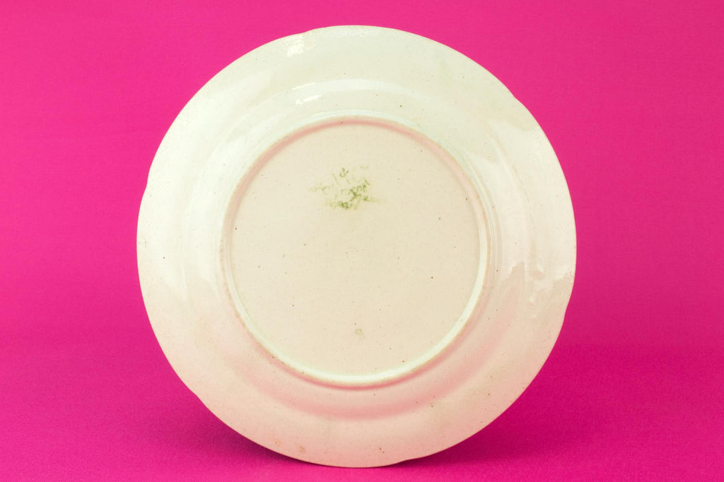 Majolica Apple Dessert plate, French circa 1900