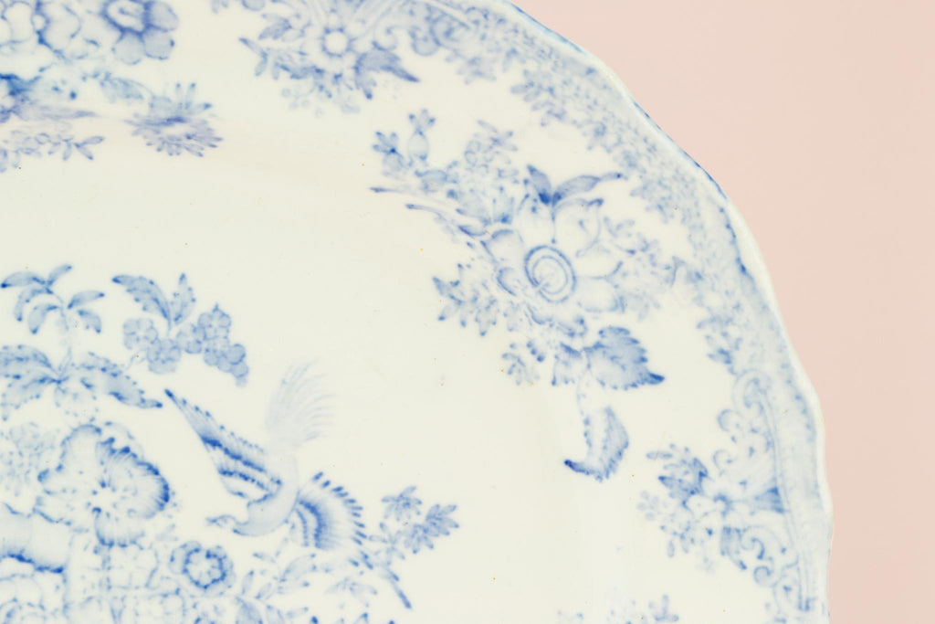 Pale blue and white Asiatic pheasant platter, English circa 1860