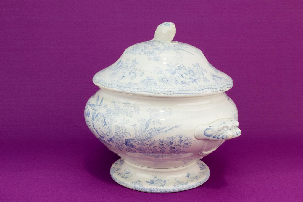 Asiatic Pheasant blue and white tureen, English 1860s