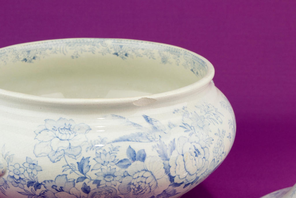 Asiatic Pheasant blue and white tureen, English 1860s