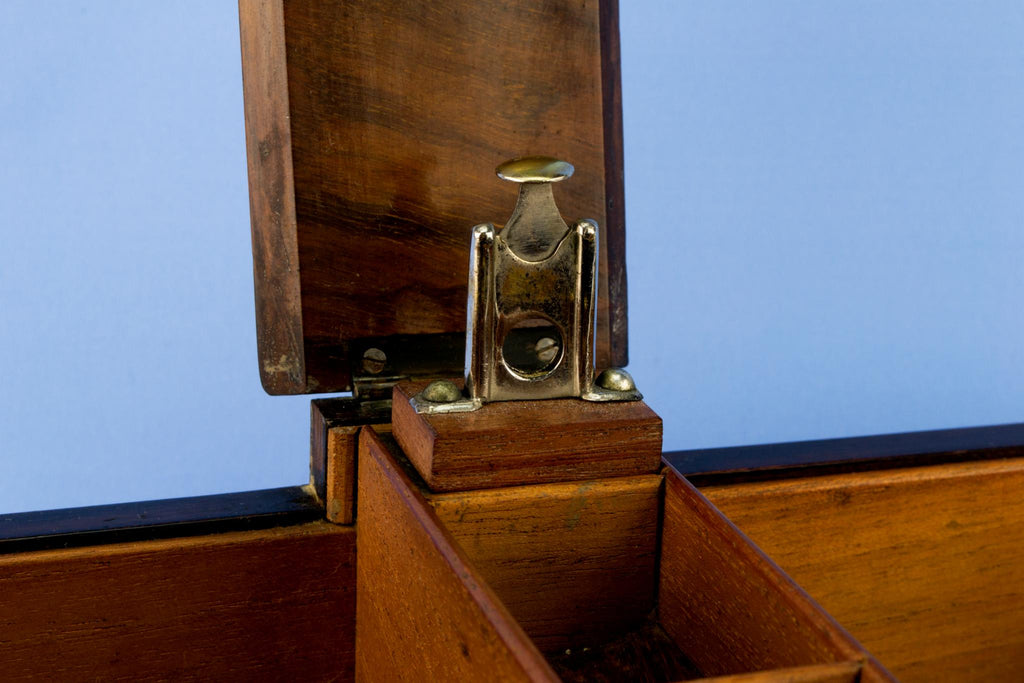 Burr Walnut Cigar Box, English Circa 1880