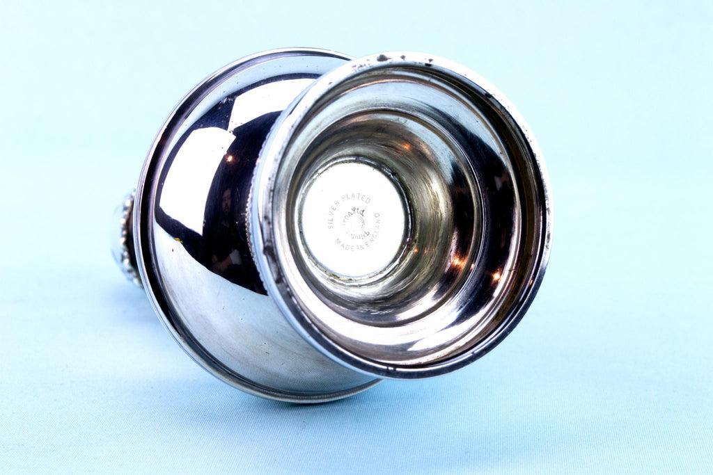 Silver Plated Sugar Caster