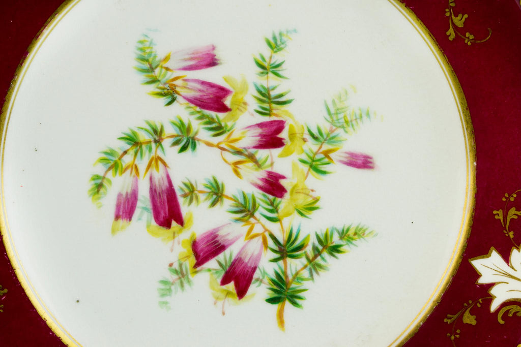 5 Dessert Plates Painted Flowers, English 19th Century