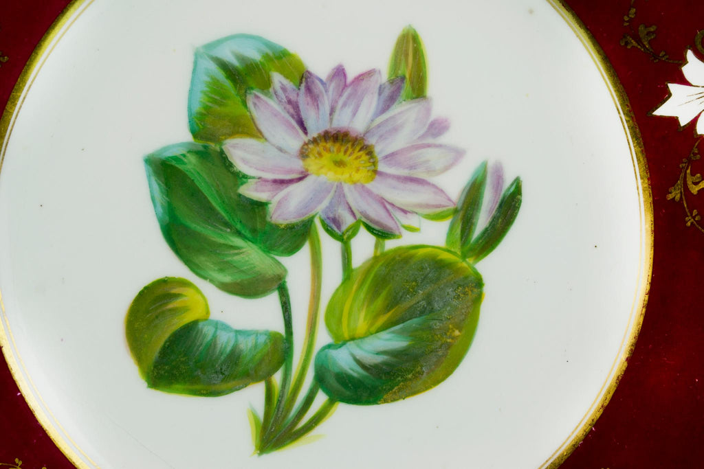 5 Floral Decorative Plates, English 19th Century