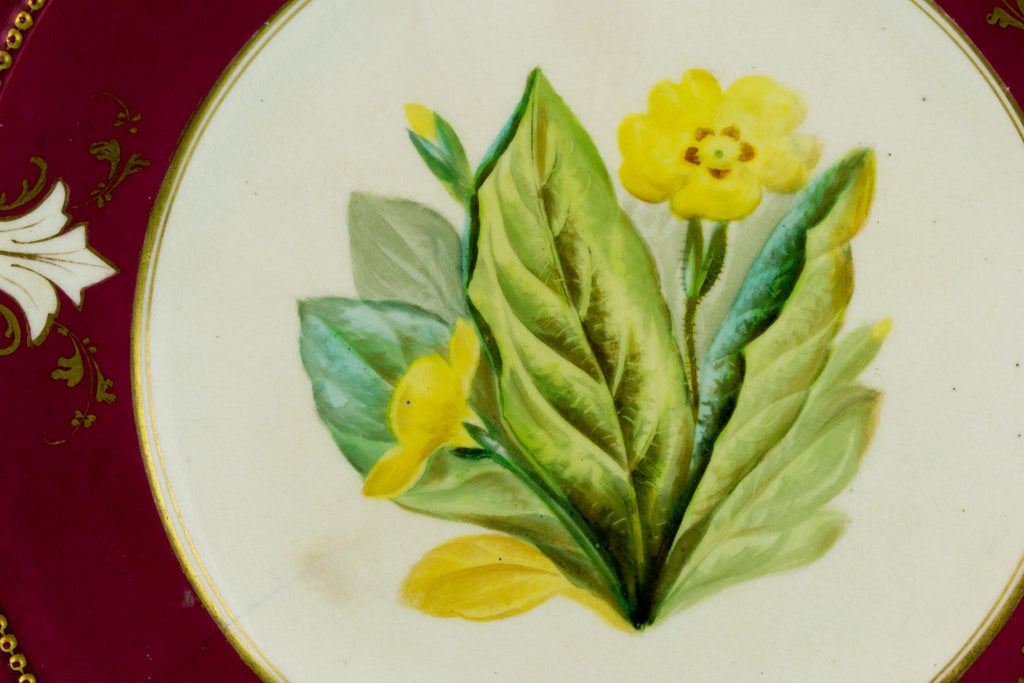 5 Floral Decorative Plates, English 19th Century