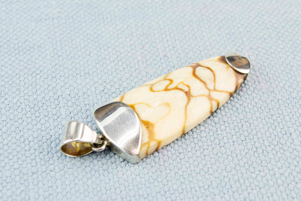 Fossil Tooth and Silver Pendant