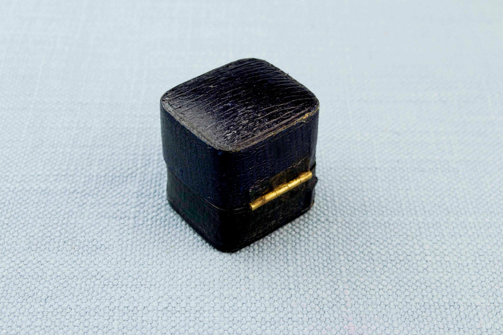 Mrs Newman Ring Box, English 19th Century