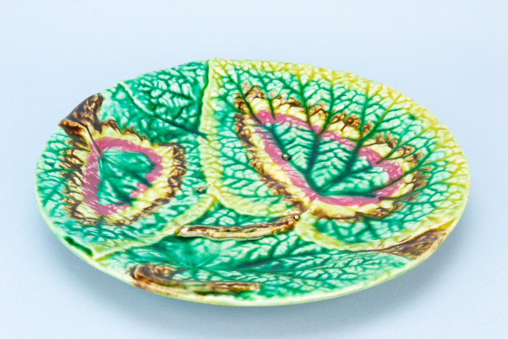 Green Majolica Plate, English 19th Century