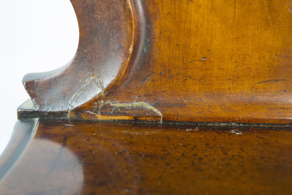 Mahogany hall chair, 19th C by Lavish Shoestring