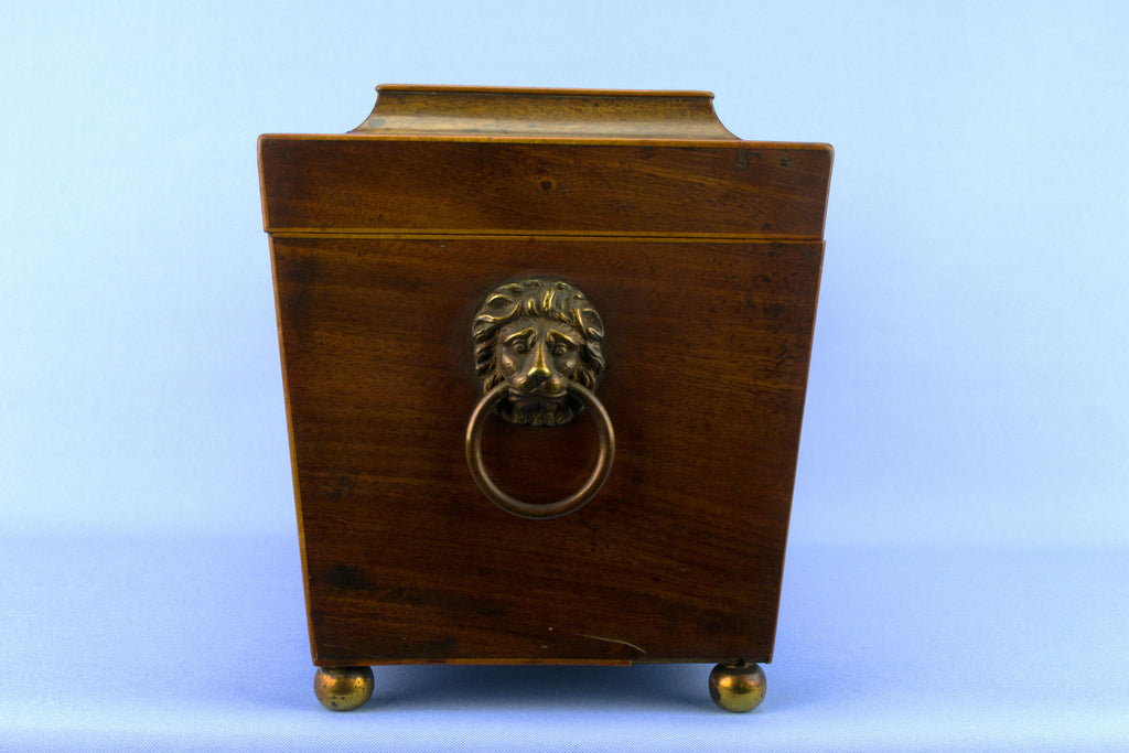 Neo-Classical Wooden Tea Box, English Early 1800s