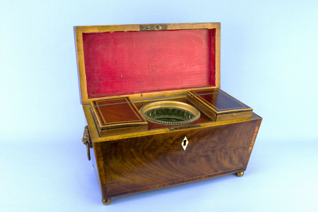 Neo-Classical Wooden Tea Box, English Early 1800s