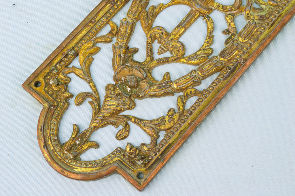 Antique Brass Door Push Plate Early 1900s